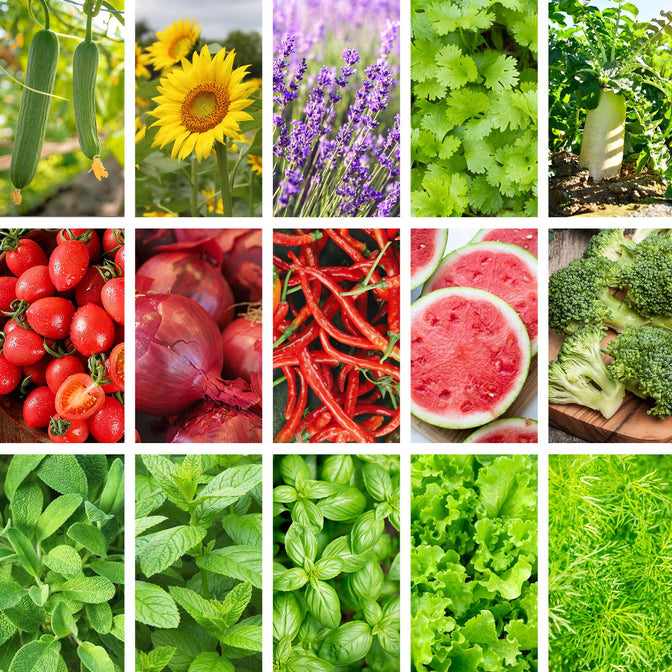 All-in-One Backyard Edible Garden Seed Bank - 32 Organic Seed Varieties